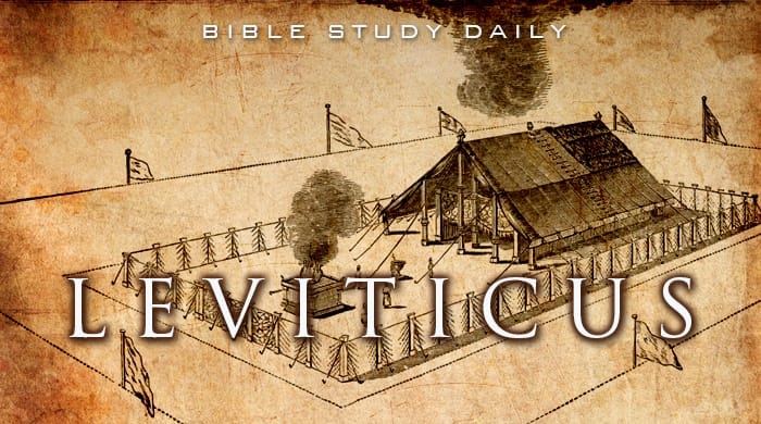 Leviticus Bible Study Daily