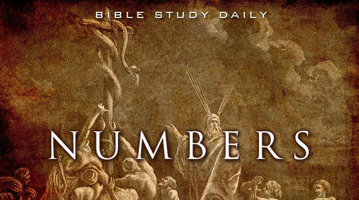 Numbers 12-13 - Bible Study Daily