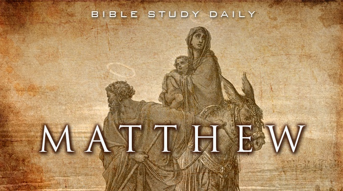 book of matthew bible study guide
