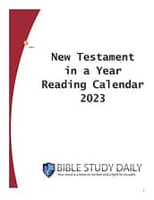 New Testament in a Year 2023