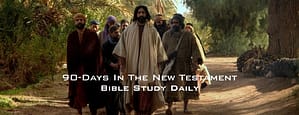 90-Days New Testament