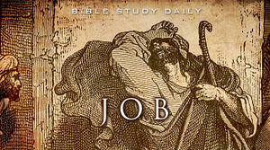 BSD Job