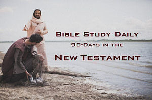 90-Days New Testament