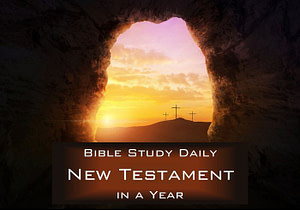 New Testament in a Year