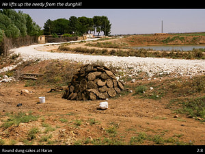 1 Samuel 2 Slide (27) 1 Samuel 2:8
