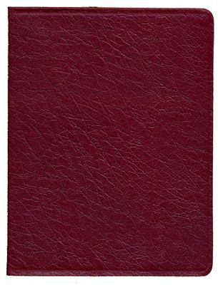 Hebrew Greek Key Word Study Bible