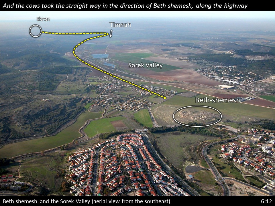 1 Samuel 6 Slide (40) 1 Samuel 6:12