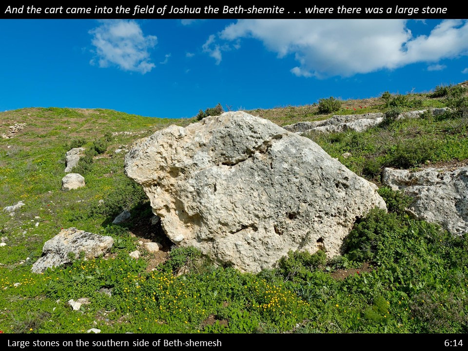 1 Samuel 6 Slide (53) 1 Samuel 6:14