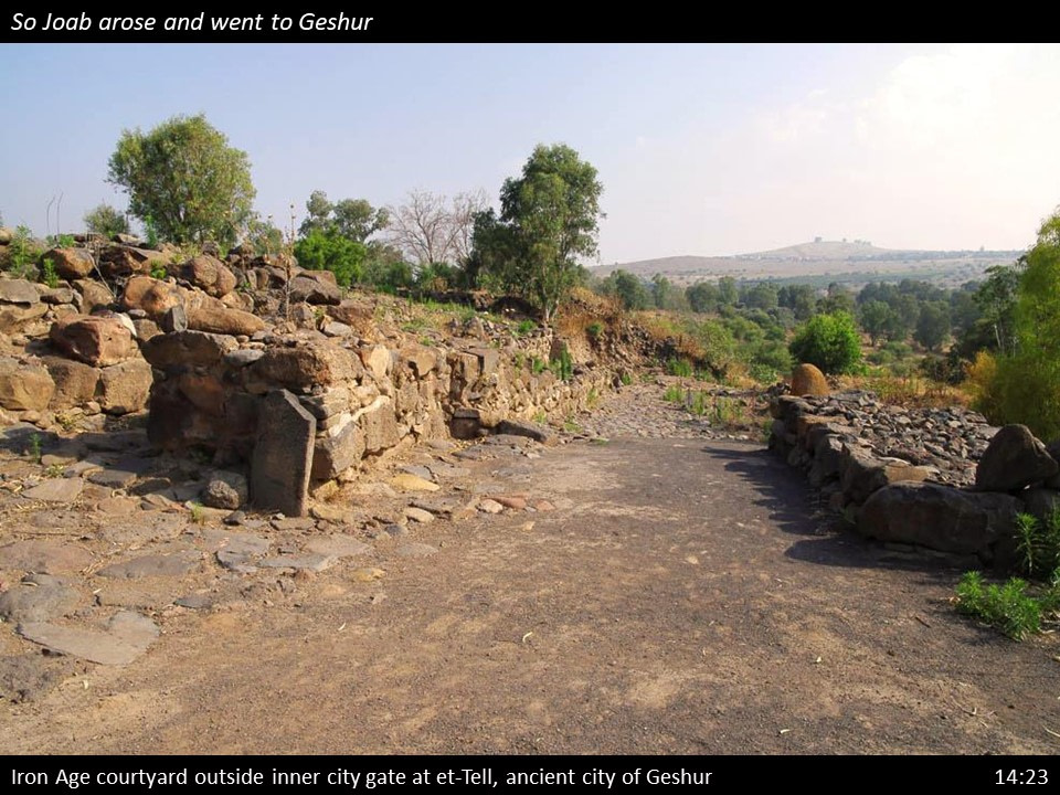 2 Samuel 14 (43) 2 Samuel 14:23