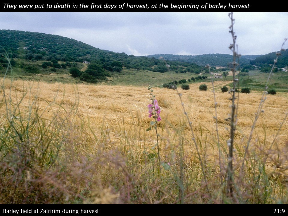 2 Samuel 21 (47) 2 Samuel 21:9