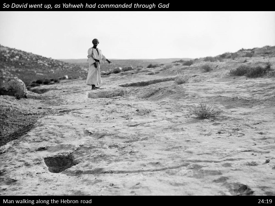 2 Samuel 24 (121) 2 Samuel 24:19