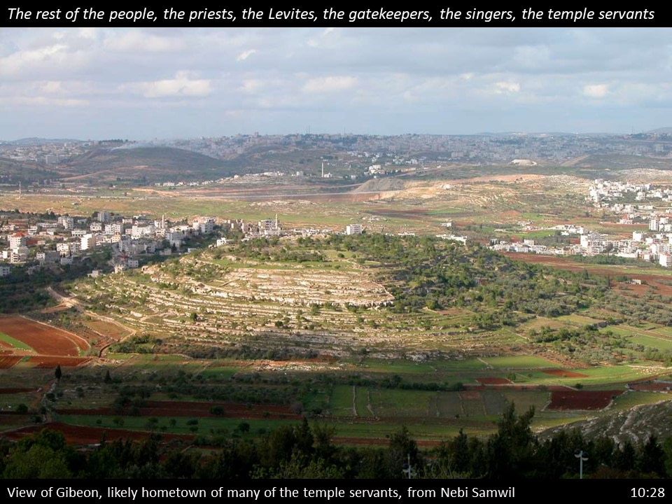 Nehemiah 10 (149)