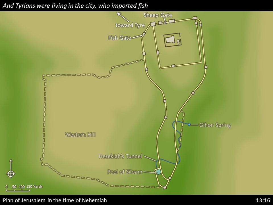 Nehemiah 13 (123)