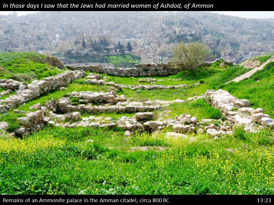 Nehemiah 13 (164)