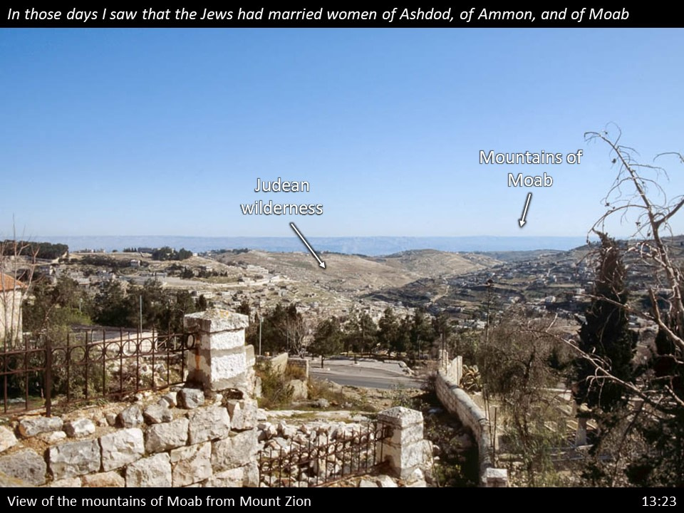 Nehemiah 13 (166)
