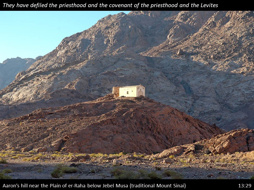 Nehemiah 13 (213)