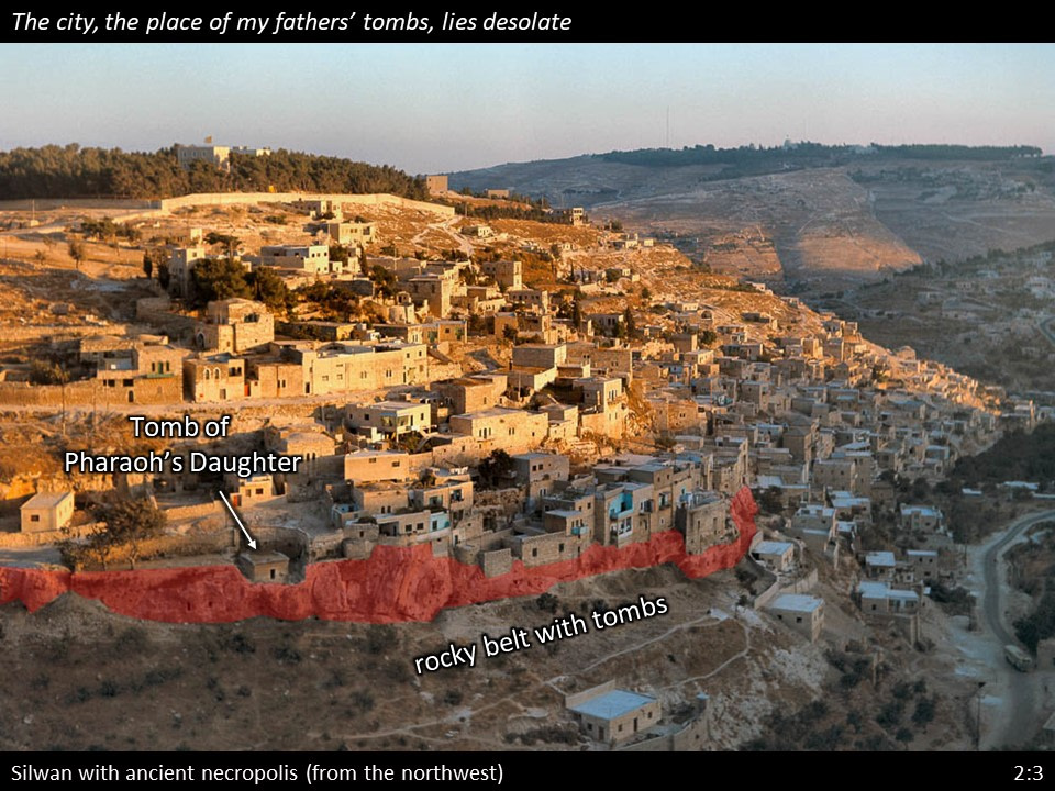 Nehemiah 2 (42)
