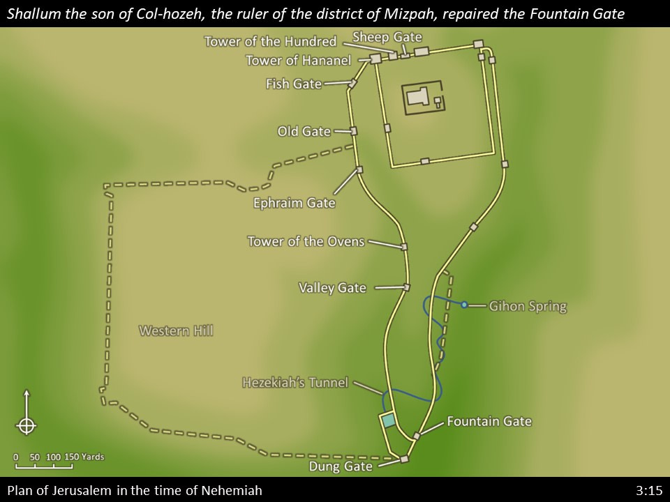 Nehemiah 3 (149)