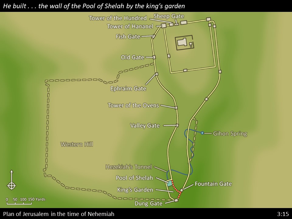 Nehemiah 3 (154)