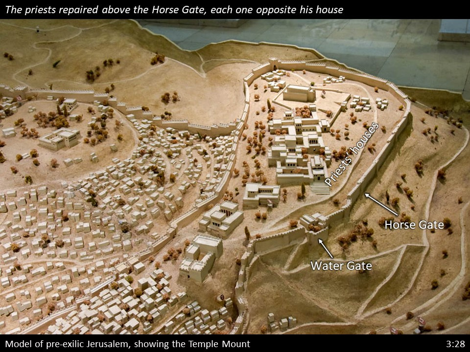 Nehemiah 3 (266)