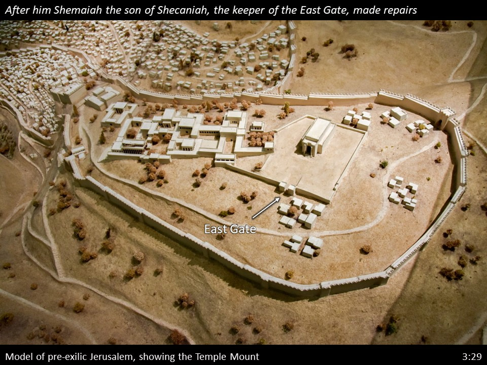 Nehemiah 3 (276)