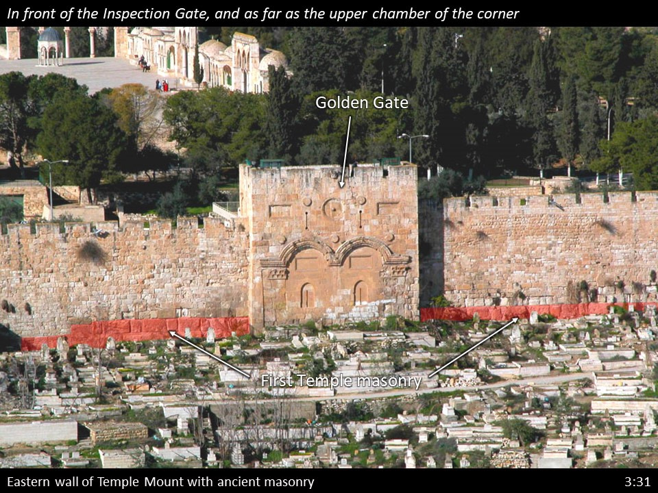 Nehemiah 3 (297)