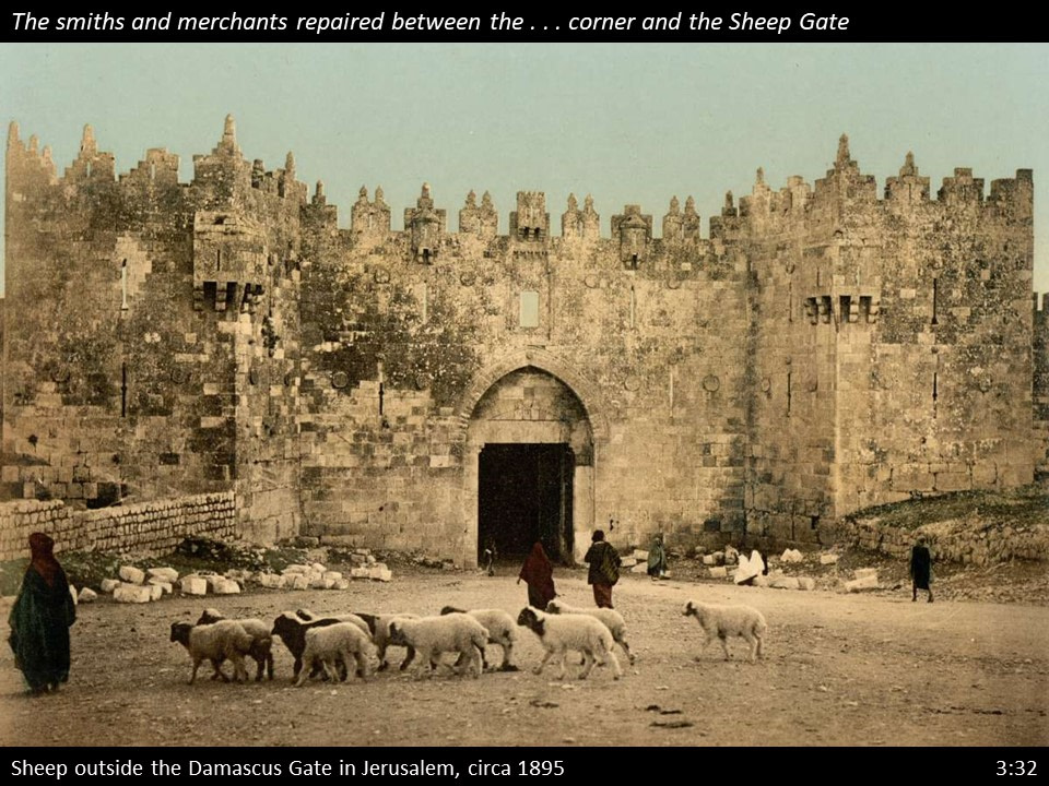 Nehemiah 3 (303)