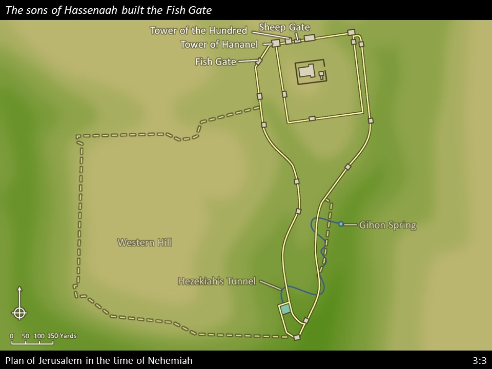 Nehemiah 3 (35)