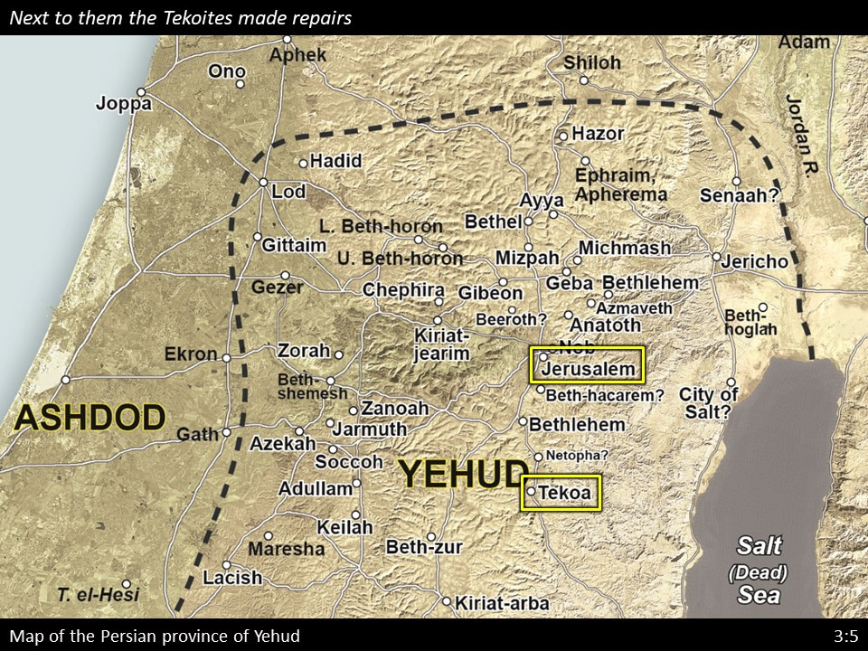 Nehemiah 3 (54)