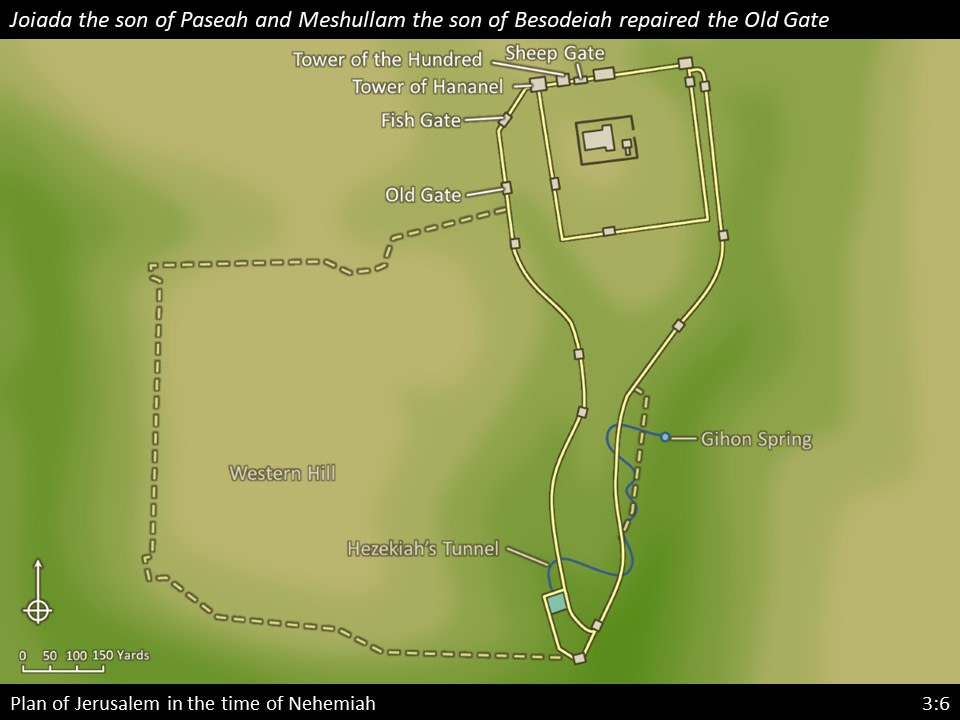 Nehemiah 3 (65)