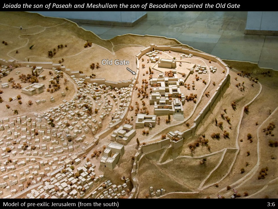 Nehemiah 3 (67)