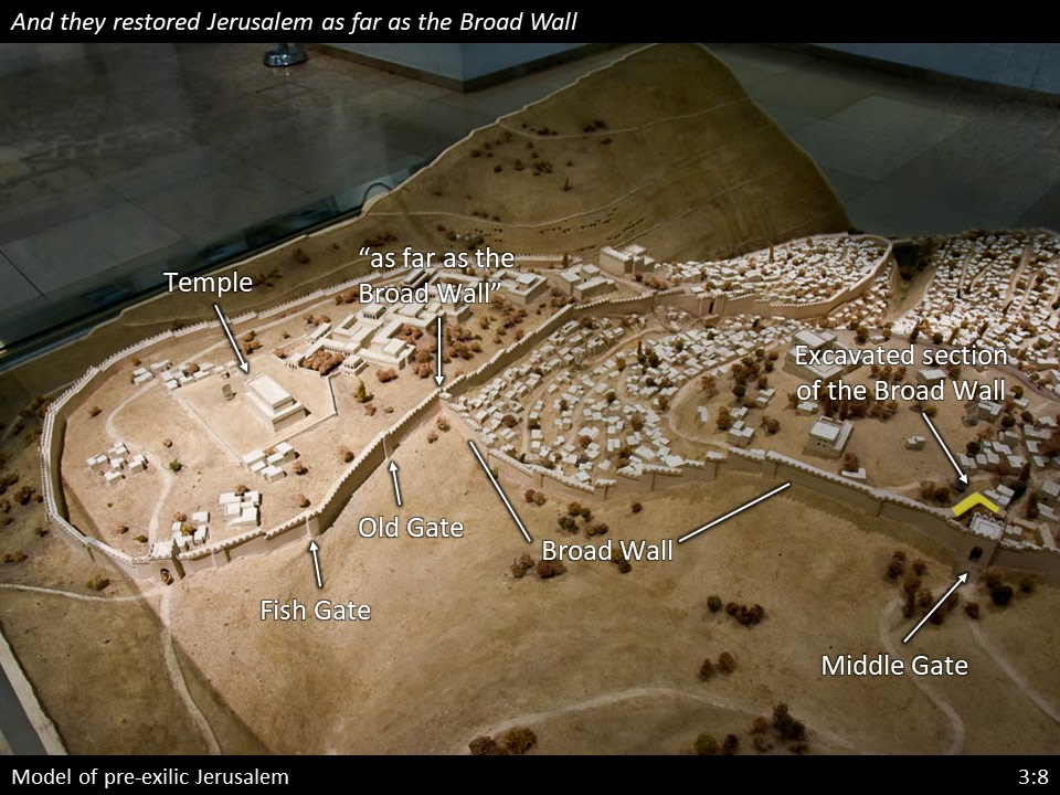 Nehemiah 3 (88)