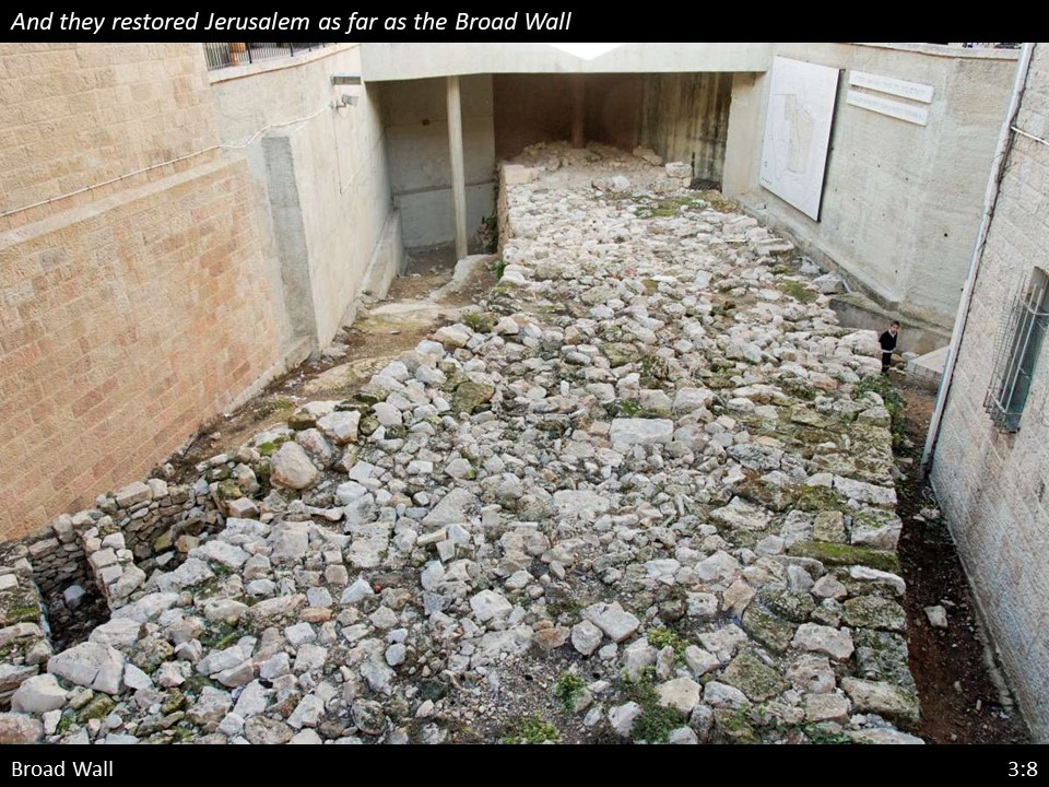 Nehemiah 3 (89)