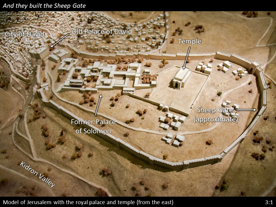 Nehemiah 3 (9)