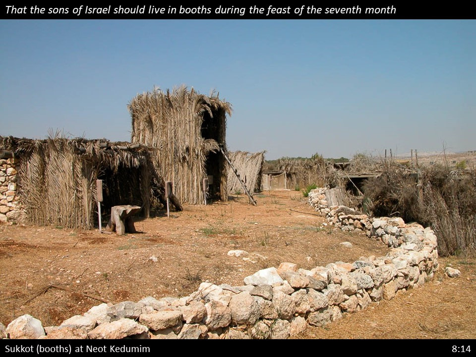 Nehemiah 8 (129)