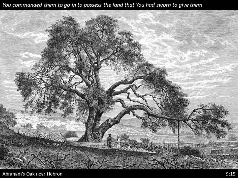 Nehemiah 9 (116)