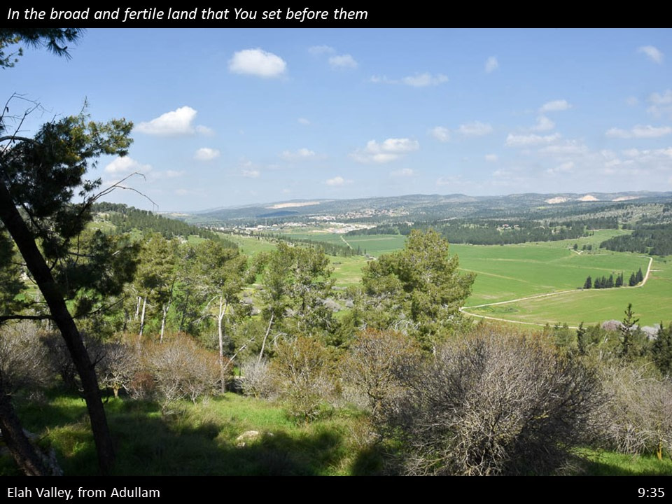 Nehemiah 9 (235)