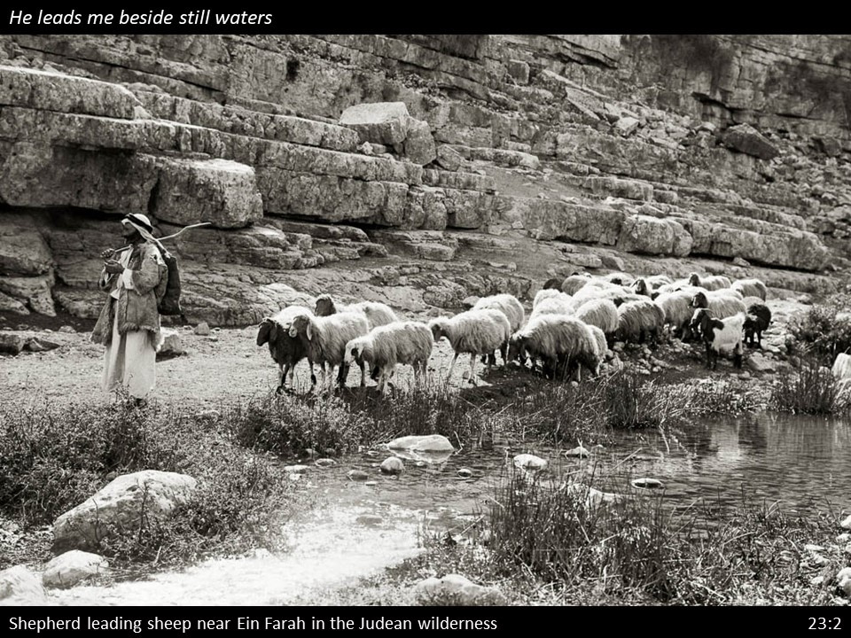 Psalm 23 (16)