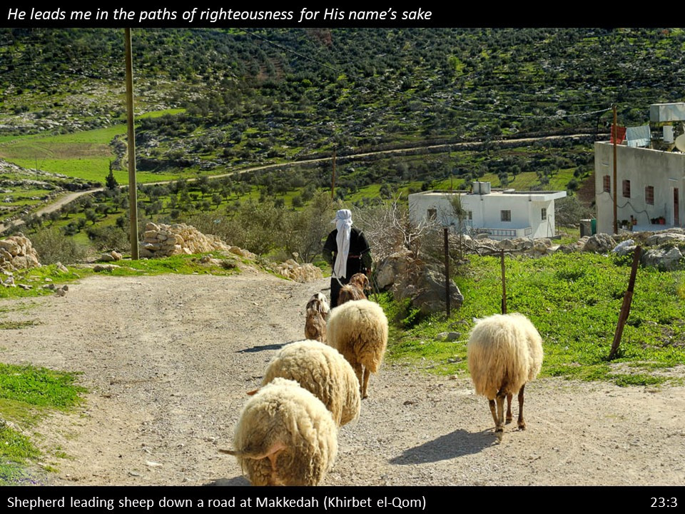 Psalm 23 (29)