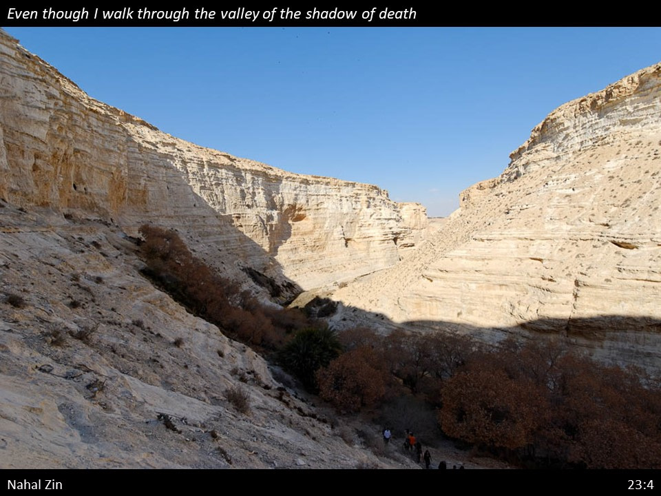 Psalm 23 (34)