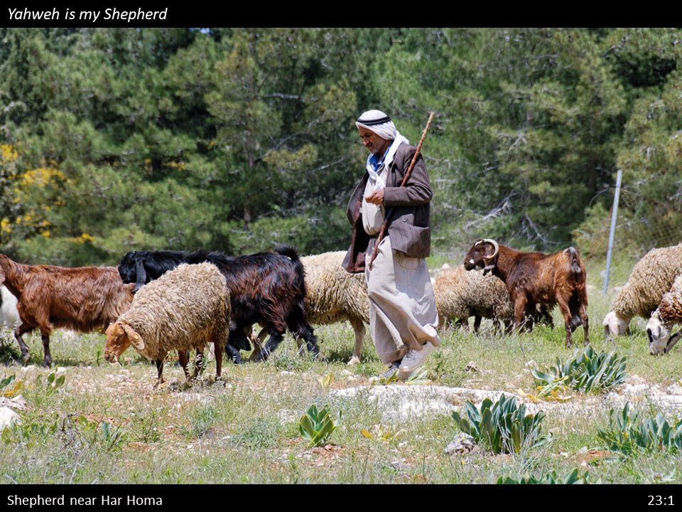 Psalm 23 (4)