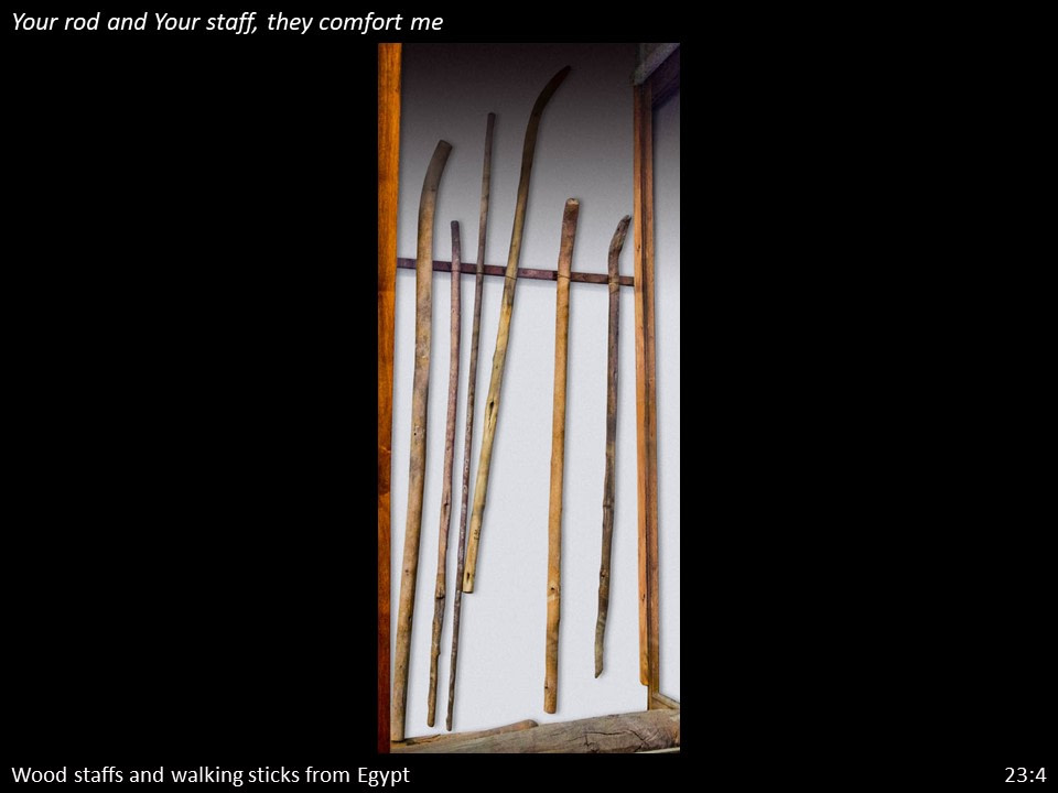 Psalm 23 (49)