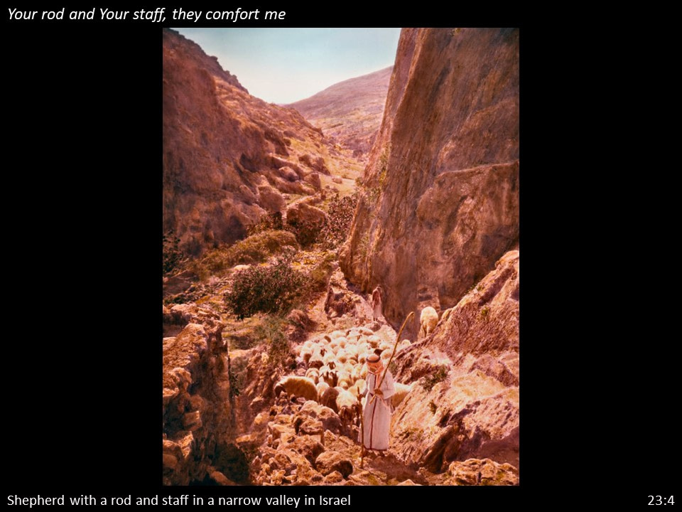 Psalm 23 (53)