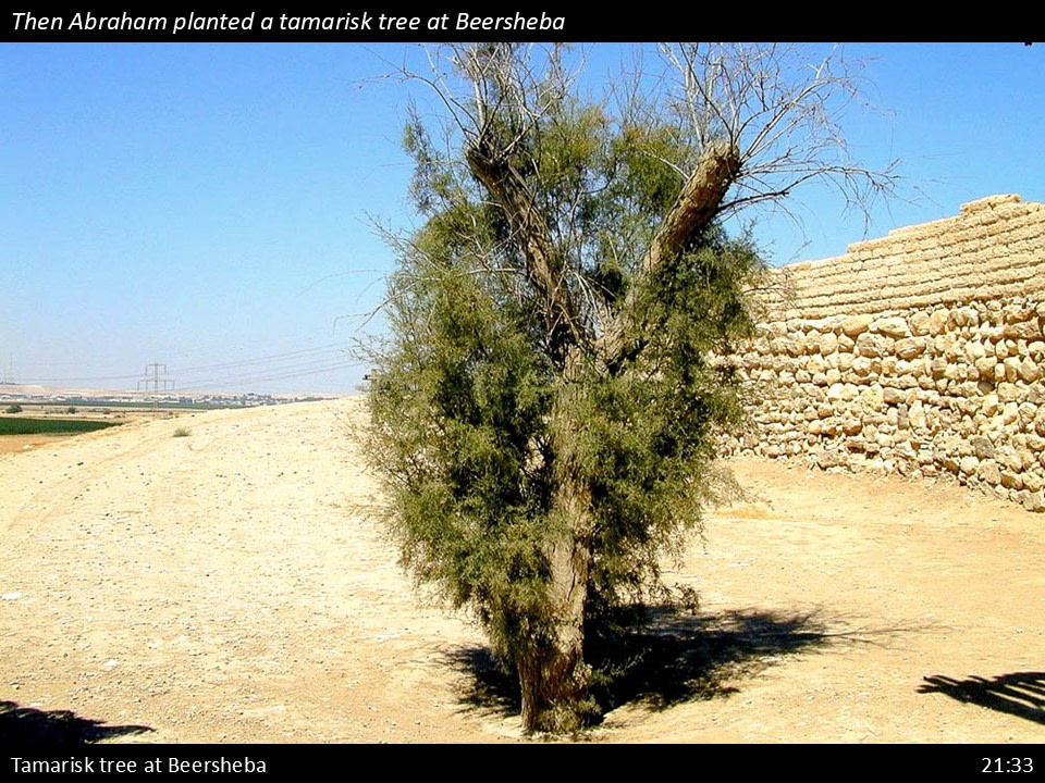 Genesis 21 Slide (134)