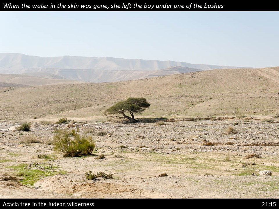 Genesis 21 Slide (57)