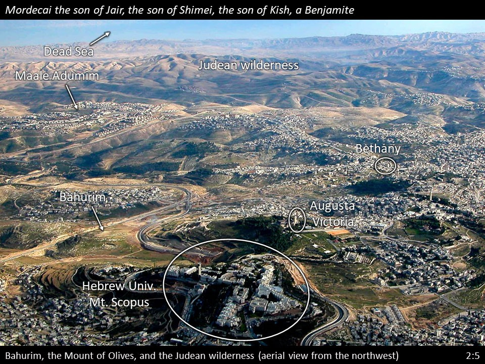Esther 2 (44)