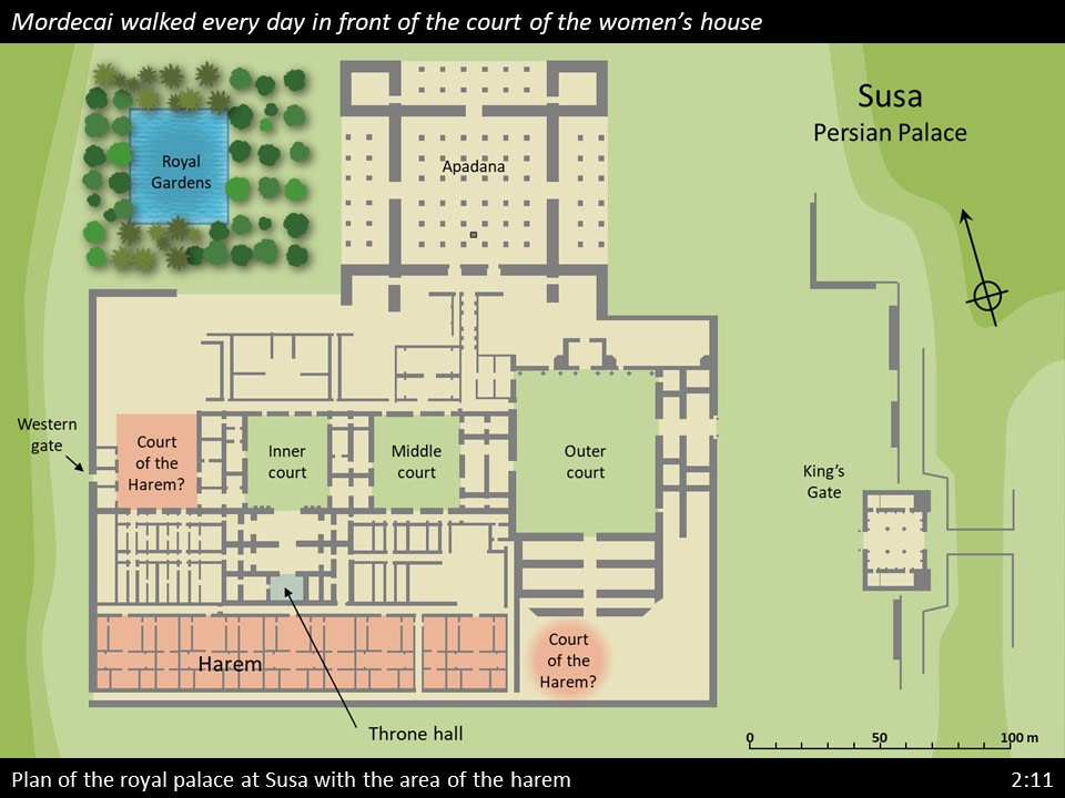 Esther 2 (74)