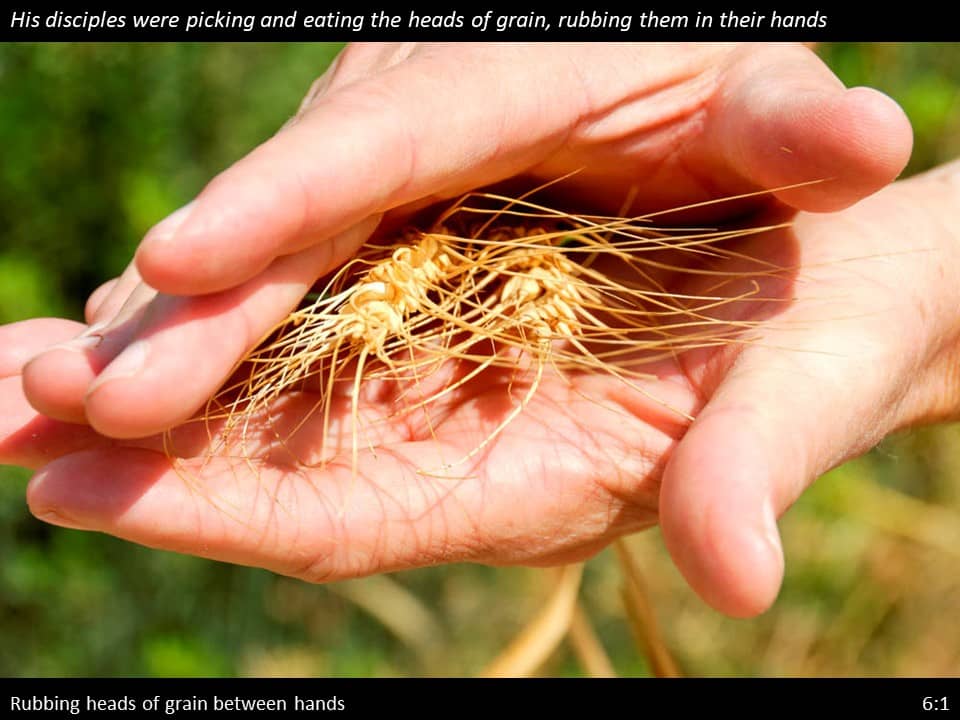 Luke 6 Slide (7) Luke 6:1