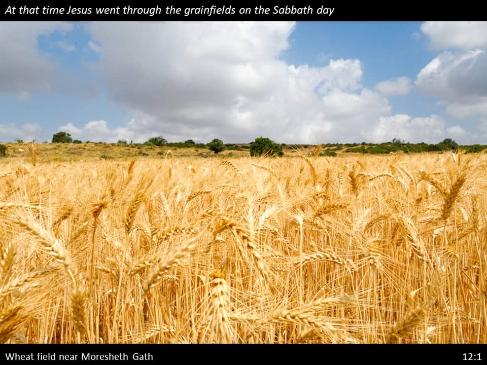 Matthew 12 Slide (3) Matthew 12:1