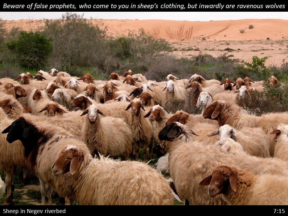 Matthew 7 Slide (71) Matthew 7:15